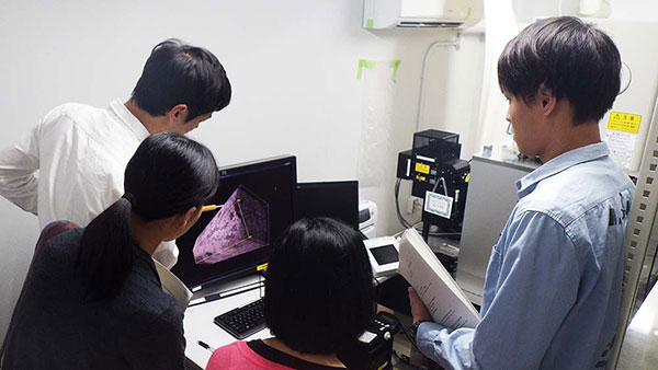 二光子顕微鏡でイメージングした透明化腎臓の3D像